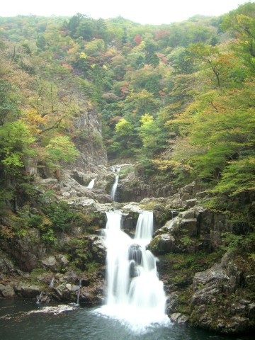 DSCN4608.JPG