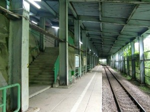 CIMG0374.JPG