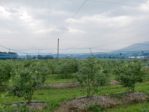 CIMG0465.JPG