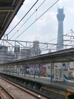 CIMG0498.JPG