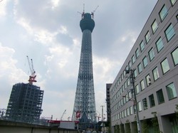 CIMG0500.JPG