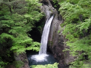 DSCN0591.JPG