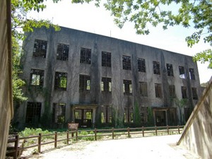 CIMG0597.JPG