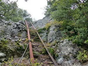 CIMG0642.JPG