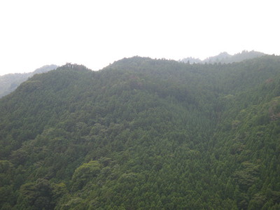 IMG_0794.JPG