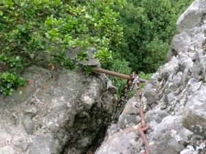 CIMG0639.JPG