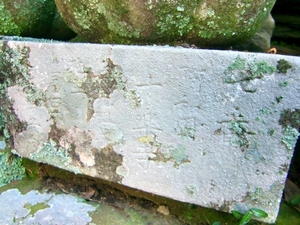CIMG0675.JPG