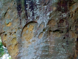 CIMG0679.JPG