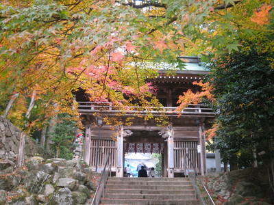IMG_1013.JPGのサムネール画像