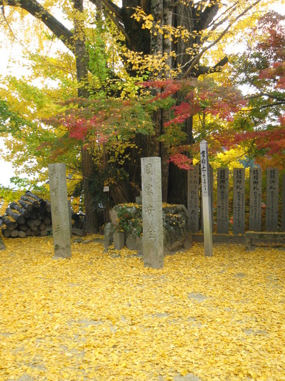 IMG_1026.JPGのサムネール画像