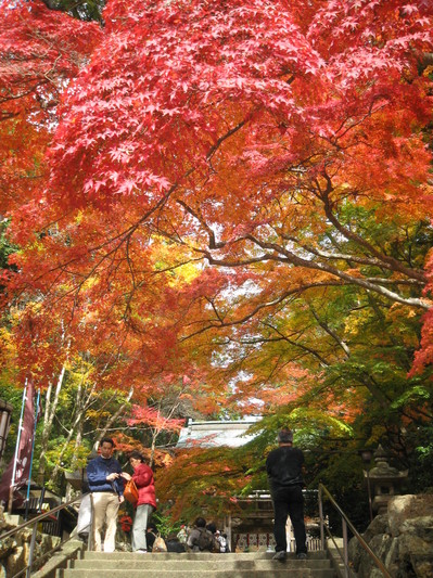 IMG_1031.JPGのサムネール画像
