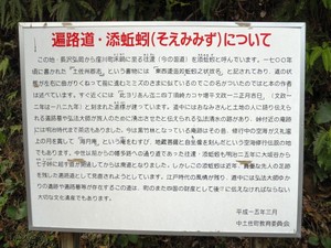 DSCN3732.JPG