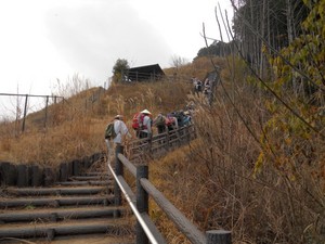 DSCN3735.JPG