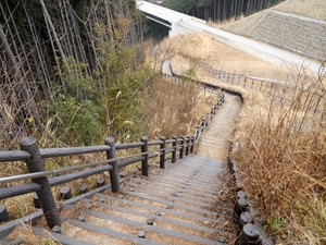 DSCN3737.JPG