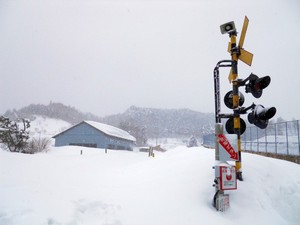 DSCN3811.JPG