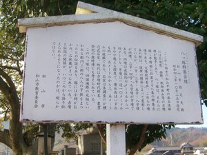CIMG1331.JPG