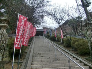 CIMG1454.JPG