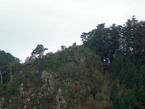 CIMG2605.JPG