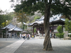 IMG_1480.JPG