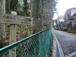 01.JPG