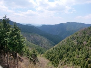 03.JPG