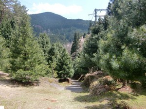 07.JPG