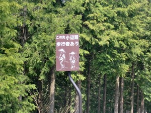 09.JPG