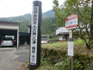 a01.JPG