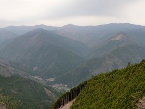 a14.JPG