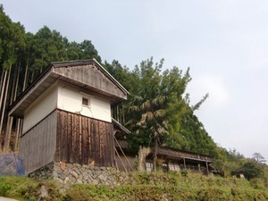 a22.JPG
