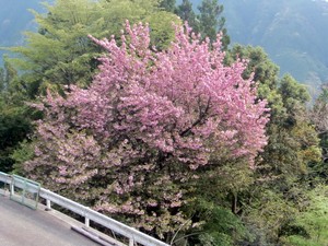a23.JPG