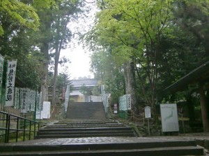 b03.JPG