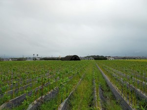 en05.JPG