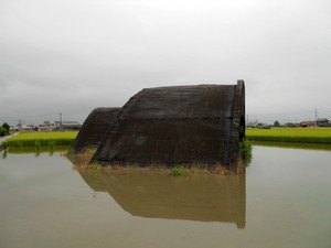 en07.JPG