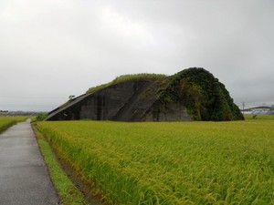 en08.JPG