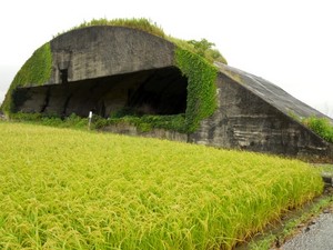 en09.JPG