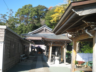 IMG_0800.JPG