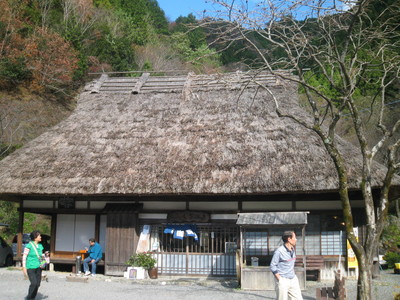 IMG_0806.JPG