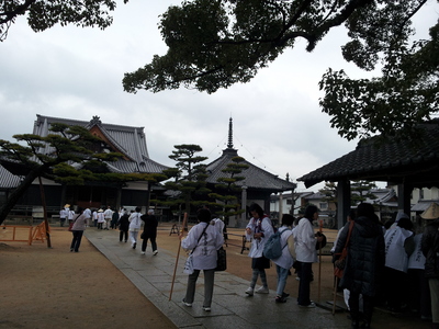 20120121_094634.jpg