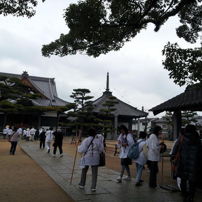 1/21【逆打ちバス遍路】88番大窪寺から81番白峯寺まで