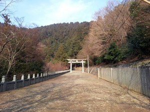 hashikura03.jpg