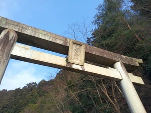 hashikura04.jpg