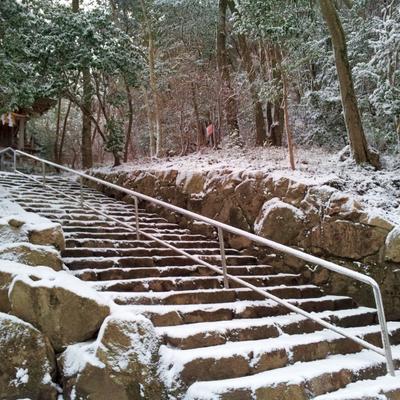 88番大窪寺の雪vol.1