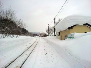 yonesaka04.jpg