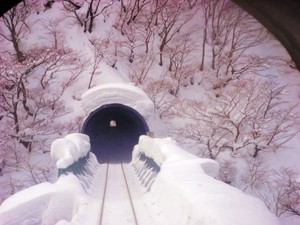 yonesaka14.JPG