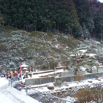 この時期の60番横峰寺へは･･･ vol.2