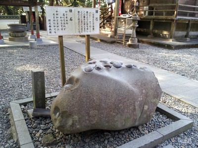 2405.jpg