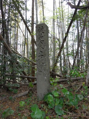matsuo03.JPG