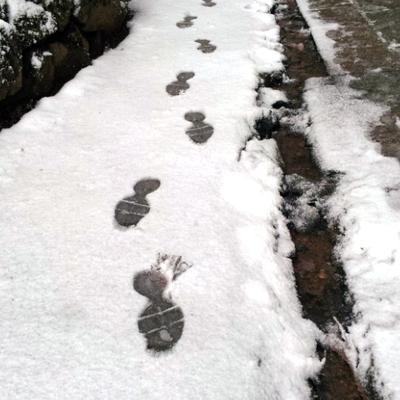 *バス遍路添乗日記* 　逆打ちバス遍路　最終回 高野山 （前土曜日）