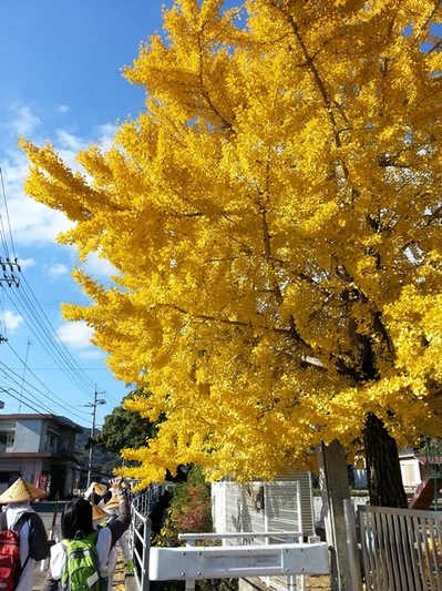 20131130_100226.jpg
